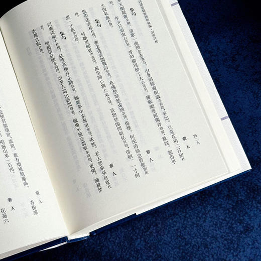 词海评林 明代词谱代表 分调辑录及再汇总 [明]毛晋 商品图14