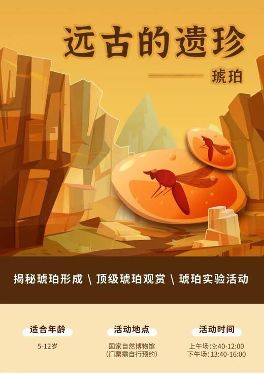 【远古的遗珍】国家自然博物馆珍稀琥珀探秘~ 商品图0