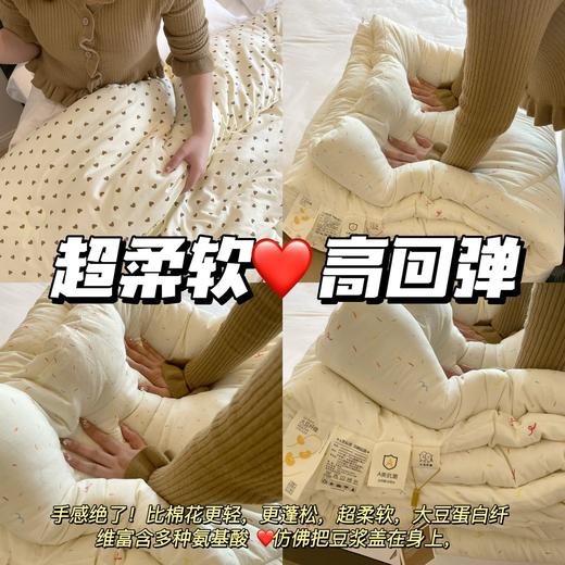 【宜家同款大豆棉被】A类母婴级整张大豆纤维填充！超柔软高回弹高颜值冬被！ 商品图1
