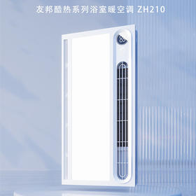 友邦（YOUPON）风暖浴霸排气扇照明一体卫生间浴霸负离子净化双电机浴霸ZH210 负离子净味双电机2800W速热