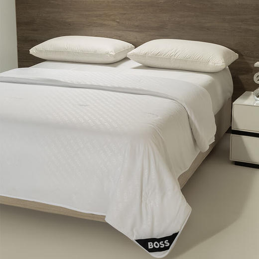 【分仓直发包邮】BOSS桑蚕丝抗菌纤维被HBCS-011 商品图1