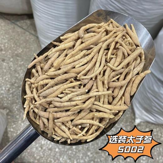 太子参 常用规格 选装货 条匀净 商品图2