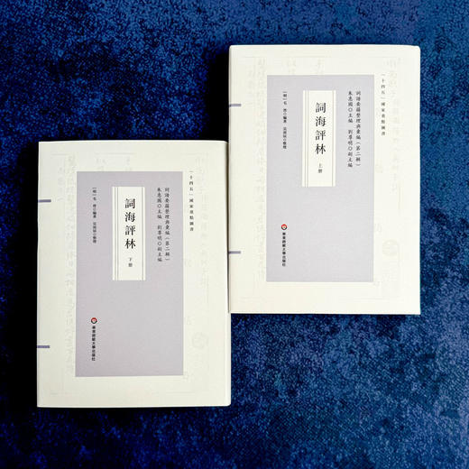 词海评林 明代词谱代表 分调辑录及再汇总 [明]毛晋 商品图1