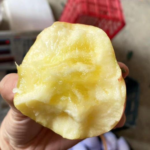 新疆阿克苏冰糖心苹果 商品图3