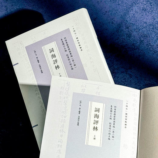 词海评林 明代词谱代表 分调辑录及再汇总 [明]毛晋 商品图6