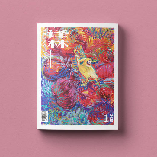 2025年《译林》杂志全年六期【赠精装布面笔记本1本（200页超大体量）】 商品图6