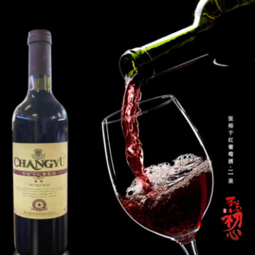 张裕二星干红葡萄酒 红酒 750ml*2支（裸瓶） 商品图3