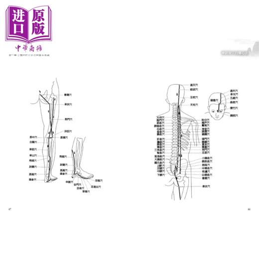 【中商原版】神针取穴自疗心法 三穴并用更传神 李政育	元气斋出版 港台原版 商品图4