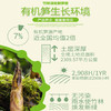 宝食有机糯米笋268g*1袋 商品缩略图3