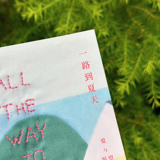 一路到夏天 爱与渴望之歌 新西兰女性主义文学外国文学短篇小说集 商品图3