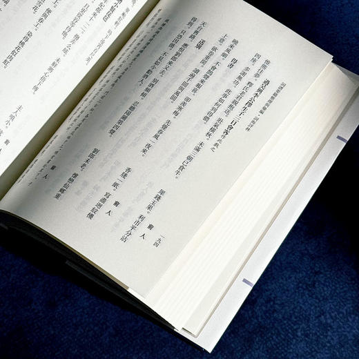 词海评林 明代词谱代表 分调辑录及再汇总 [明]毛晋 商品图8