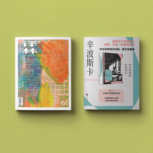2024年《译林》杂志 第6期 商品图9