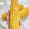 黑金糯玉米礼盒装8根 商品缩略图4