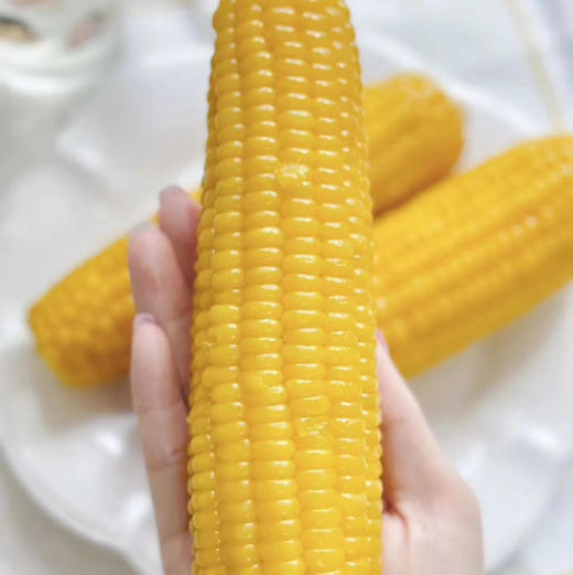 黑金糯玉米礼盒装8根 商品图4