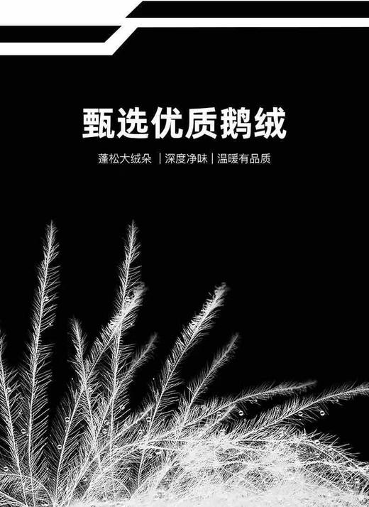【90白鹅绒 防风防泼 硬核保暖】香港老爷车鹅绒西裤 商品图3