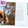【中商原版】红松鼠之书 英文原版 The Red Squirrel Book Russ Jane 简 拉斯 科普读物 野生动物保护 精美摄影作品 商品缩略图2