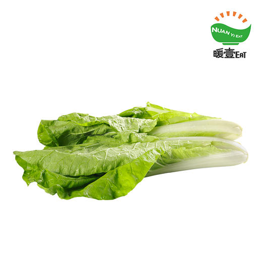 暖壹有机快菜 商品图1