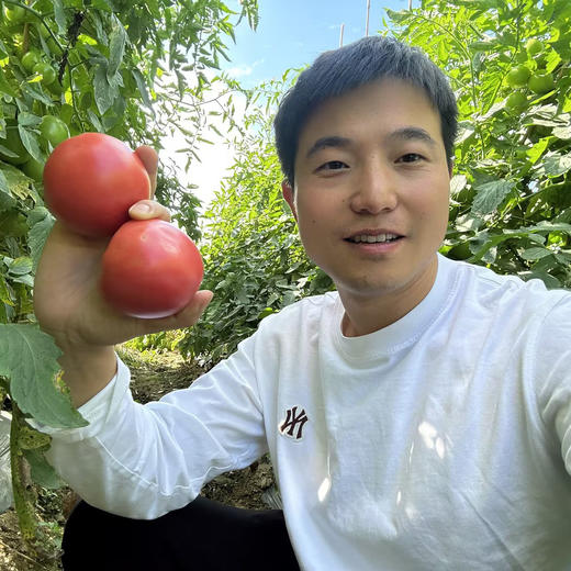 攀枝花【露天沙瓤西红柿】自然生长，无膨大剂，无激素，健康安全，沙瓤细腻，饱满多汁 ！【顺丰快递】 商品图1