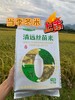 【英德横石塘】石门穗丝苗米2500g 商品缩略图0