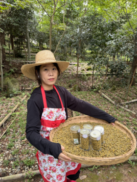 “石斛被曝光了”长期吃石斛，家人发生惊人变化