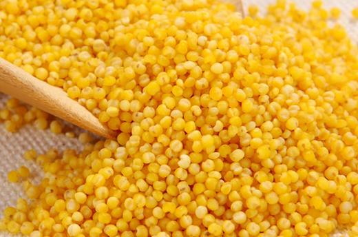 💦//【果然U品陈皮炒小米茶】 ✅甄选陈皮+干姜+黄小米，药食同源，科学配比 ✅古法重炒炮制，营养好吸收，茶性更温和 ✅有食材的天然微甜，无药味 好喝不辣嗓❗ 商品图1