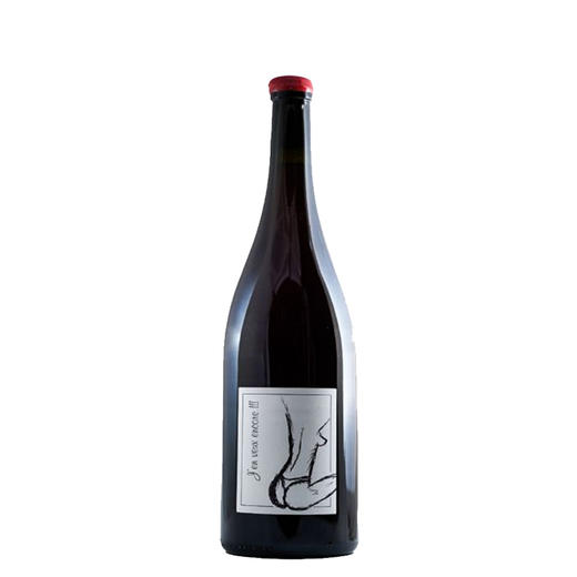 2021 Anne et Jean Francois Ganevat J'en Veux Encore Magnum 安妮·让法加内瓦酒庄安可红葡萄酒 商品图1