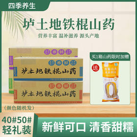 【2024年现挖头茬垆土地鲜山药】【品牌推荐】温县垆土新鲜铁棍山药 |  香甜面糯 肉质紧密2500g/箱