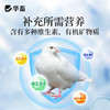 华畜鸽用电解质鸟用多维葡萄糖鹦鹉鸽子营养补钙新鸟用品画眉 商品缩略图2