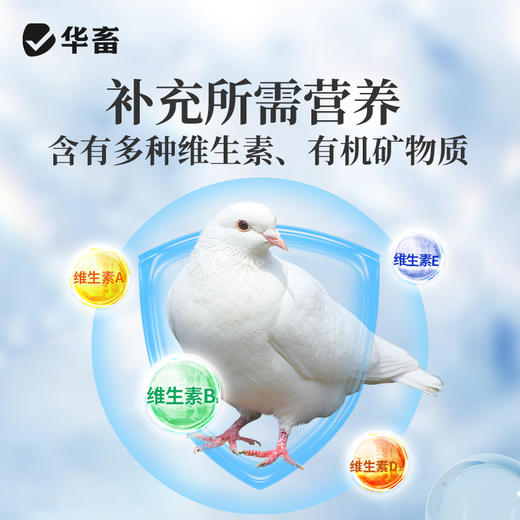 华畜鸽用电解质鸟用多维葡萄糖鹦鹉鸽子营养补钙新鸟用品画眉 商品图2