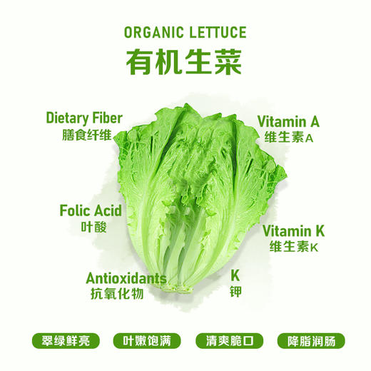 暖壹有机生菜 商品图1