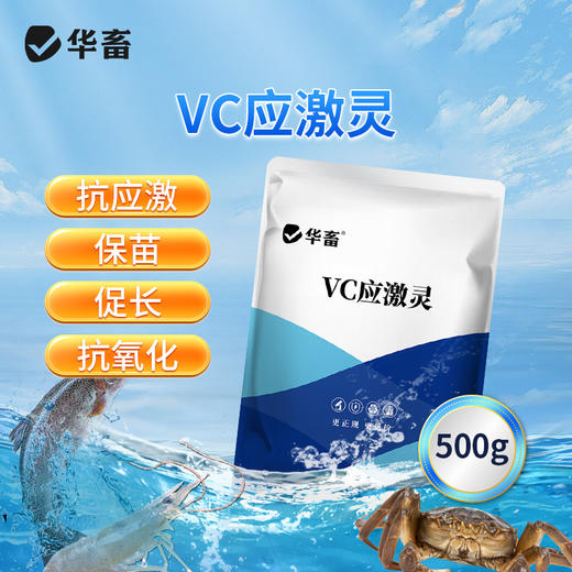 华畜vc鱼用应激灵水产养殖专用药维生素c虾蟹电解多维抗应激解毒 商品图0
