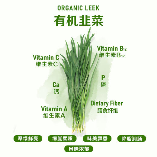 暖壹有机韭菜 商品图1
