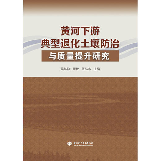 黄河下游典型退化土壤防治与质量提升研究 商品图0