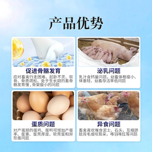 华畜钙磷十八补兽用钙磷多维十八补微量元素猪牛羊鸡钙粉异食吃土 商品图1