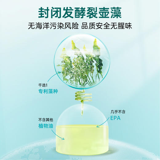 【保税】维乐原VitaRealm儿童DHA藻油丸 60粒 商品图6