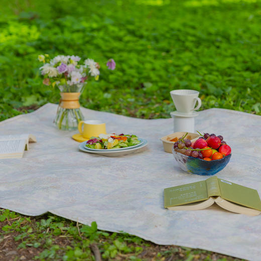 春意系列野餐垫防潮垫便携加厚草地春游草坪轻便秋游高级感棉 商品图1