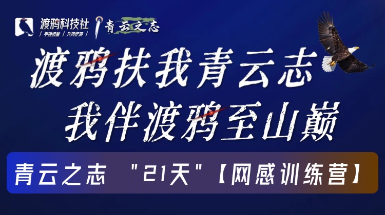 青云之志 &【网感训练营】