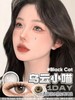Annieone日抛 琥珀星星/乌云小猫/琉璃公仔/鎏金公爵 日抛无售后 棕灰蓝 14.2-14.5mm 商品缩略图2