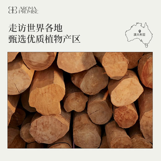 檀香精油2ml 温暖沉稳木香 身心灵的滋养能量 商品图5