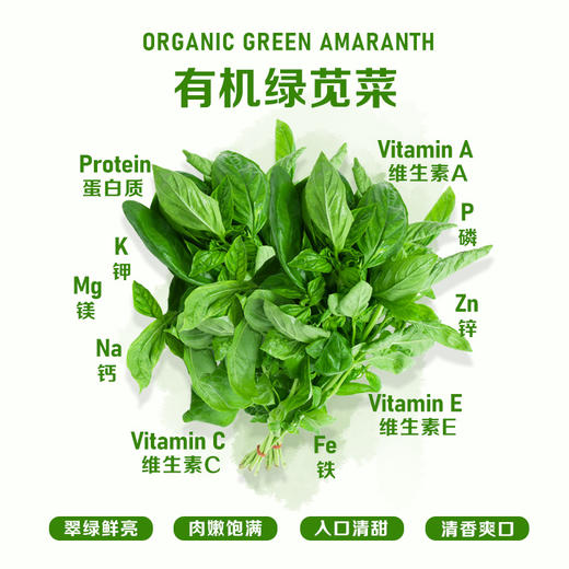 暖壹有机绿苋菜 商品图1
