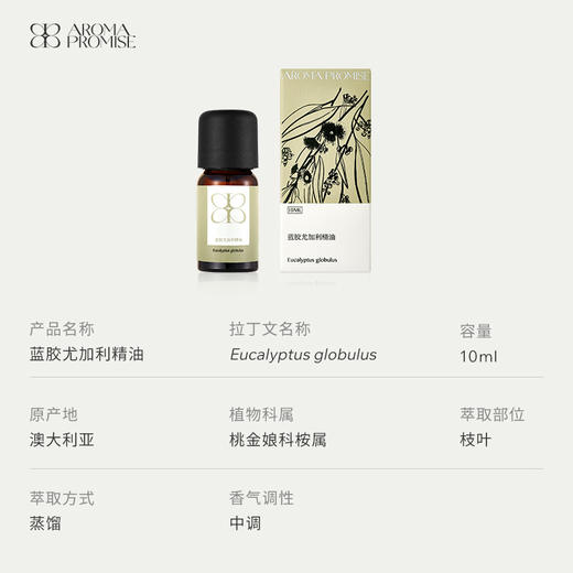 蓝胶尤加利精油10ml 澳洲原产 顺畅呼吸 呼吸道保卫 净化空气 商品图2