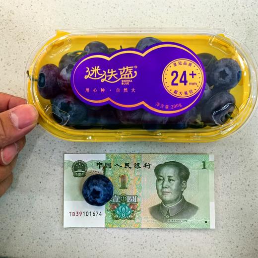 【迷迭蓝蓝莓】·迷迭兰24+ 商品图4
