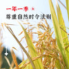 【陇间柒月】八月富硒大米5kg 商品缩略图5