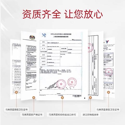 艾尚燕冰糖即食燕窝75g单瓶大容量鲜炖燕窝孕产妇中老年滋补营养品单瓶气柱包装 商品图4