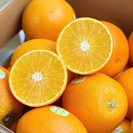 【优级】云冠橙优级5kg  /件 商品图2