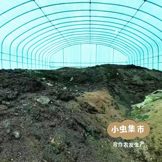 生态翡翠青柚 5斤/6斤 | 合作农友生产，产自广西巴马，生产者：玉为政、韩爱菊 *【公平贸易农人定价】 商品图12