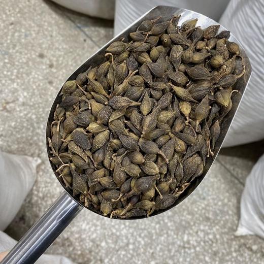 连翘 连青翘 破壳少常用规格 商品图2