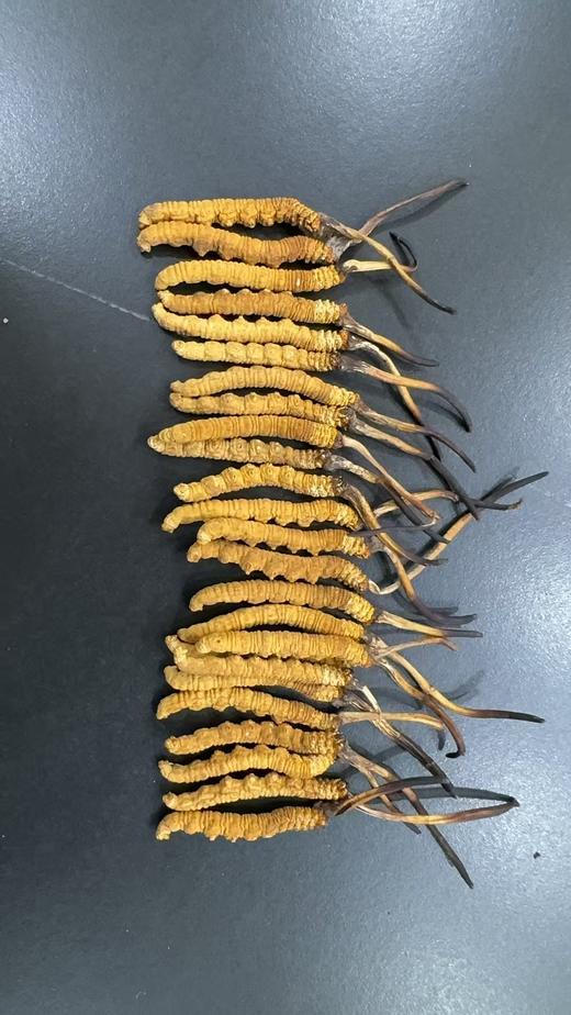 【那曲干虫草】品质之选， 产自神秘而纯净的那曲地区，这里高海拔、无污染的环境，赋予了虫草卓越的品质。   每一根那曲干虫草都体型饱满，色泽金黄。它富含多种营养成分，是滋补养生的佳品。 商品图2