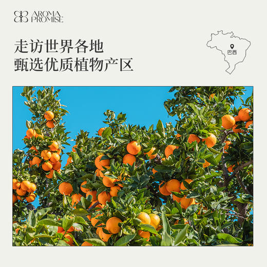 甜橙精油 清新甜美柑橘气息 平静放松愉悦 商品图5