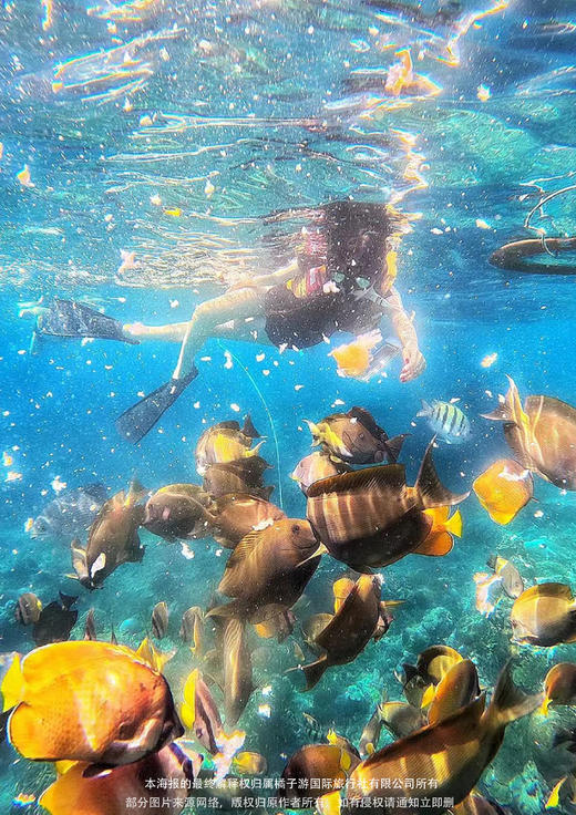 【悠悦巴厘岛】6天4晚 商品图1